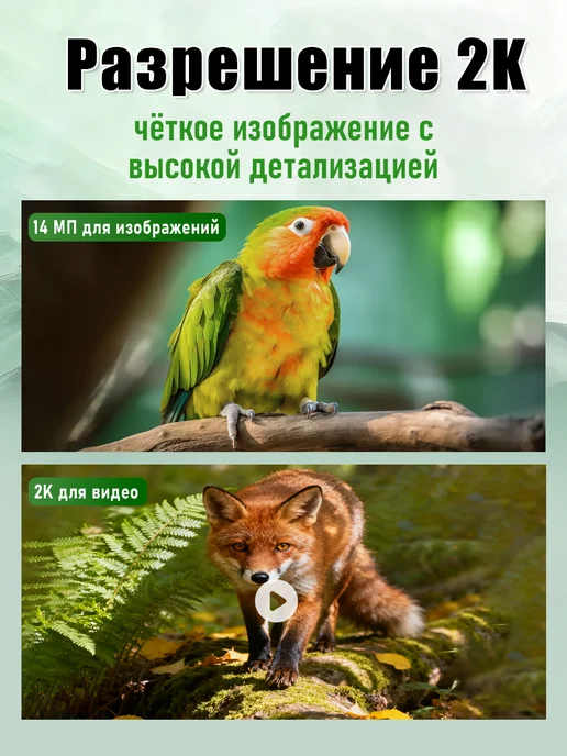 Фотоловушка для охоты и дачи с дисплеем, зеленый, фото 2