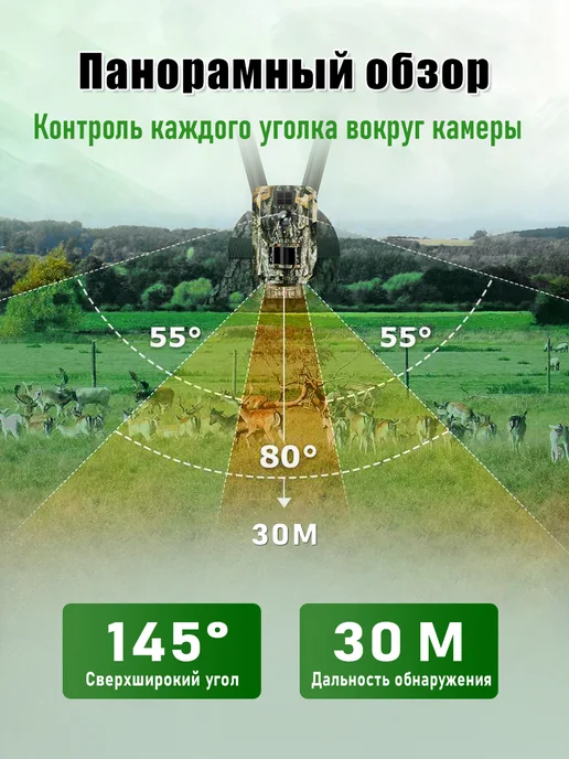 Фотоловушка для охоты и дачи с дисплеем, зеленый, фото 3