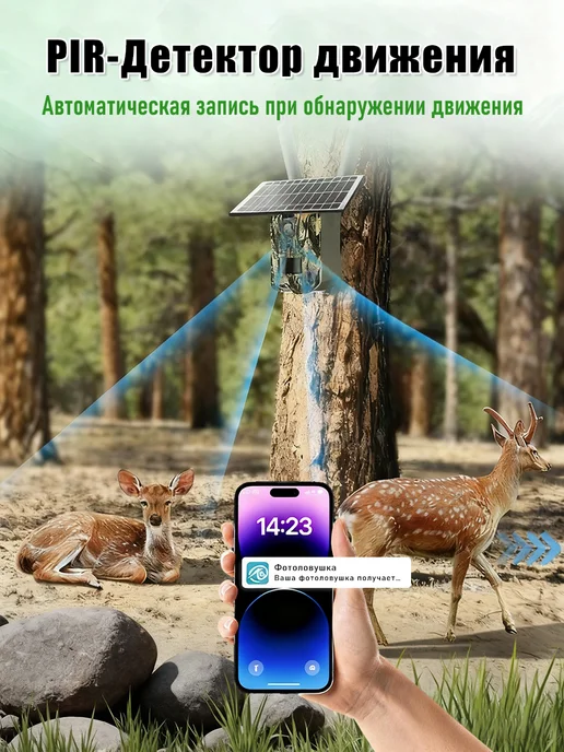 Фотоловушка для охоты и дачи с дисплеем, зеленый, фото 6