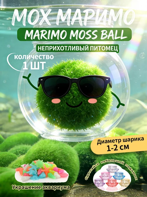 Водоросли в аквариуме Маримо, комбинированная упаковка, вариант