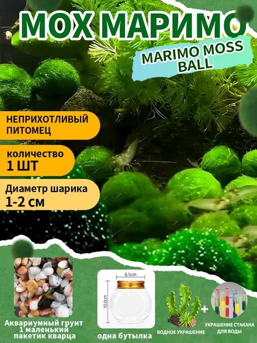 Водоросли в аквариуме Маримо, комбинированная упаковка, вариант