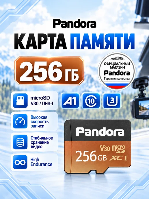 Pandora, автоэлектроника Карта памяти Micro SD 256 ГБ High Endurance V30, 256 ГБ