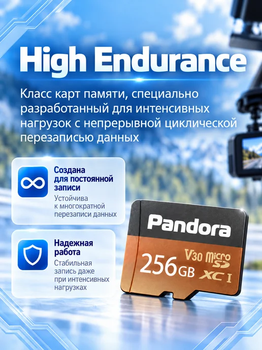 Pandora, автоэлектроника Карта памяти Micro SD 256 ГБ High Endurance V30, 256 ГБ, фото 3