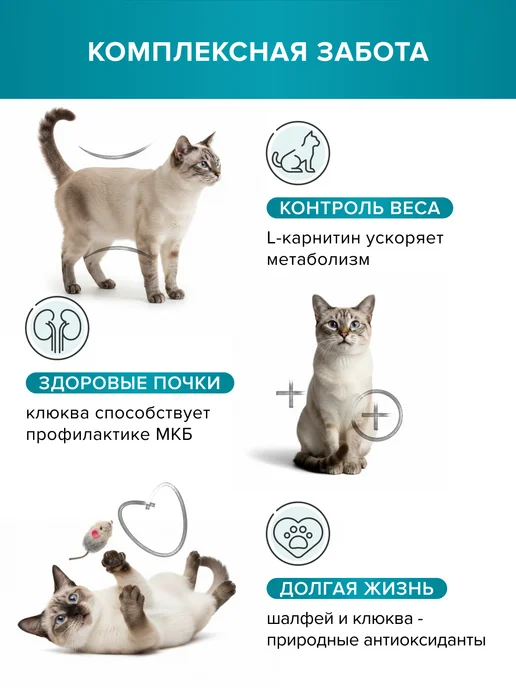 Сухой корм DOCTRINE health starts with nutrition Кошек для собак, стерилизованные, 0,4 кг, фото 2