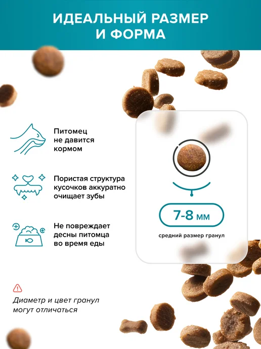 Сухой корм DOCTRINE health starts with nutrition Кошек для собак, стерилизованные, 0,4 кг, фото 3
