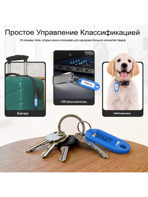 Бирки для ключей, 50 шт, пластик, синие, 50 шт, фото 3
