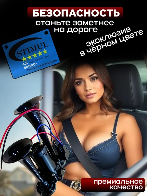 STIMUL Пневматический звуковой сигнал двухрожковый, черный, фото 7