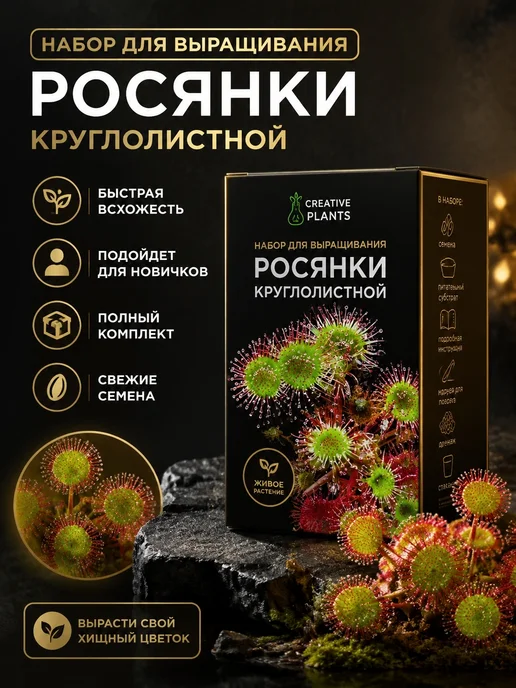 Набор для выращивания росянки Круглолистной, вариант