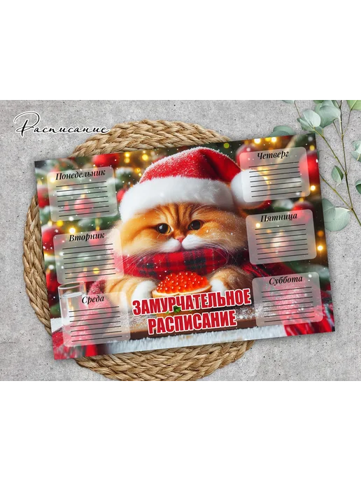 Расписание уроков с ламинацией "Котики", А4, вариант