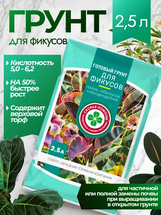Сила Суздаля Грунт для фикуса, вариант