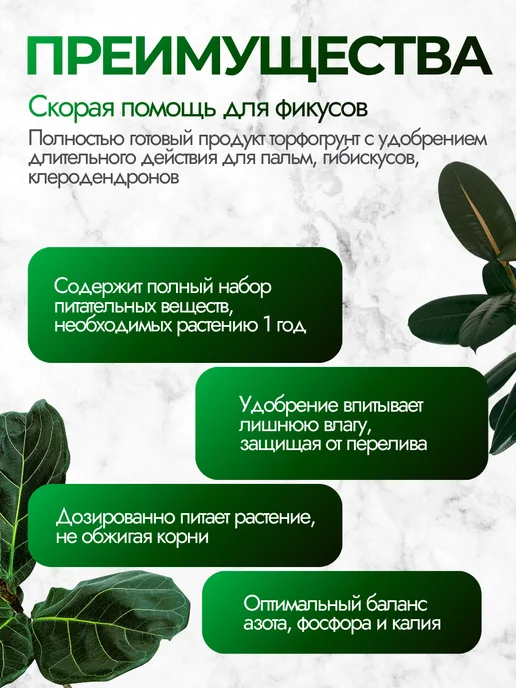 Сила Суздаля Грунт для фикуса, вариант, фото 2