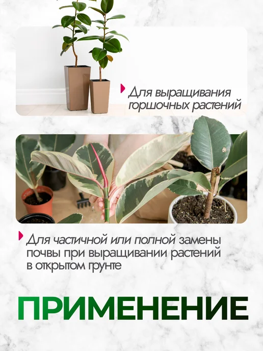 Сила Суздаля Грунт для фикуса, вариант, фото 4