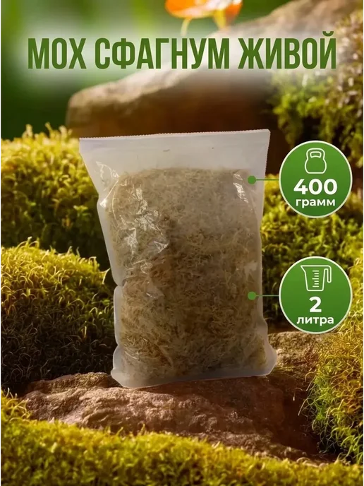 Мох сфагнум живой неочищенный 2 литра 400 грамм, вариант, фото 3