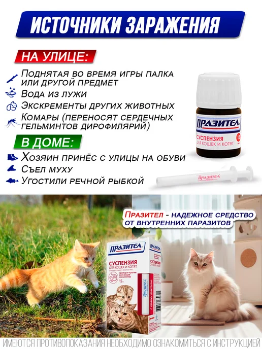 АСТРАФАРМ Суспензия от гельминтов для кошек и_котят, (15 мл ), 15 мл, фото 2