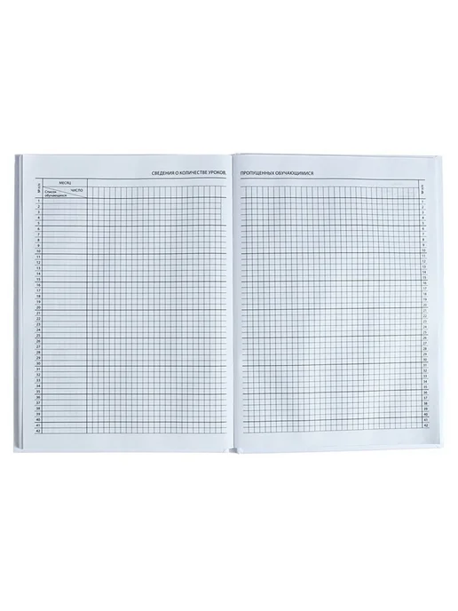 Практичный школьный журнал А4 для всех классов, белый, фото 3