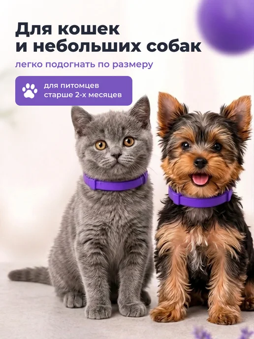 SSY Ошейник от блох и клещей для кошек и собак 38 см, вариант, фото 2