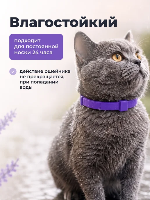 SSY Ошейник от блох и клещей для кошек и собак 38 см, вариант, фото 3