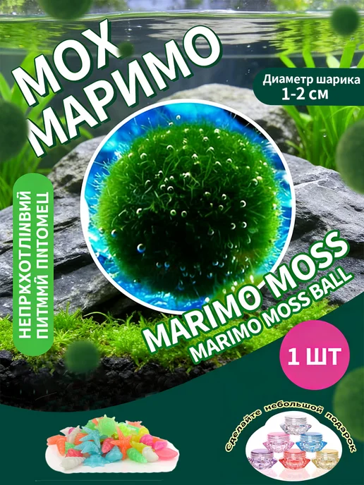 маримо водоросли, вариант