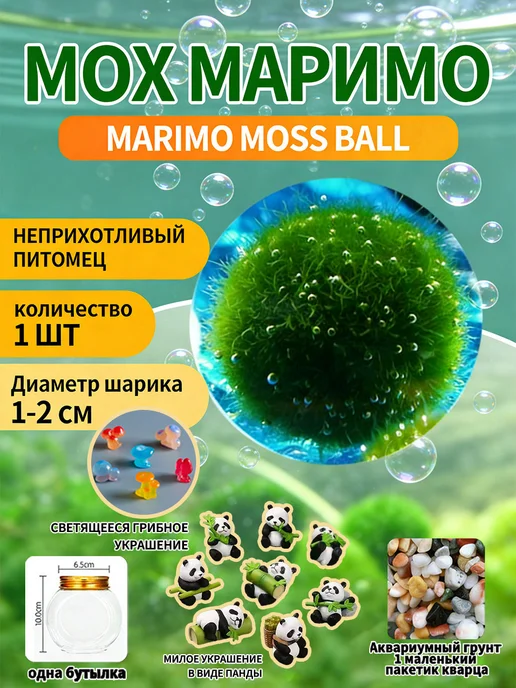 маримо водоросли, вариант