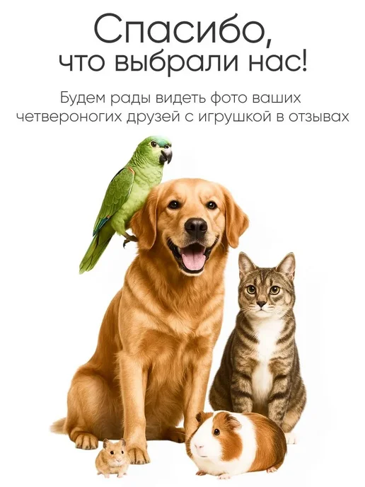 Гнездо для попугаев и мелких птиц из соломы, вариант, фото 7