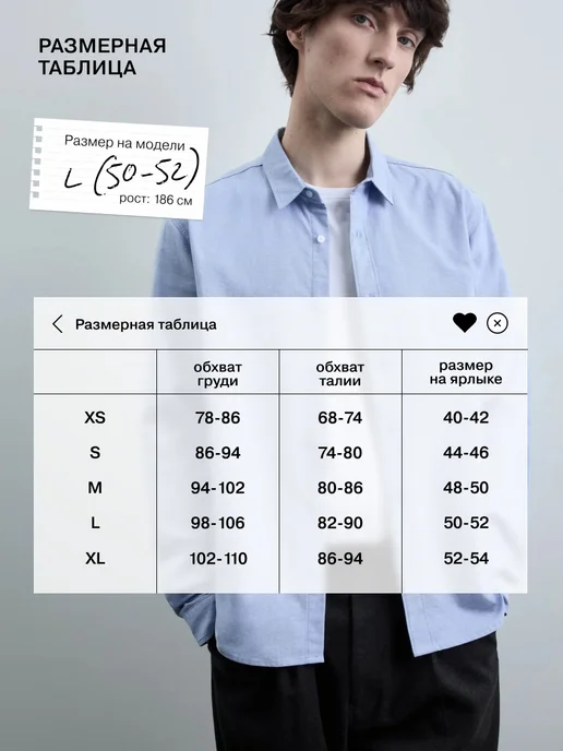 gloria jeans Рубашка голубая приталенная с длинным рукавом, голубой, фото 3