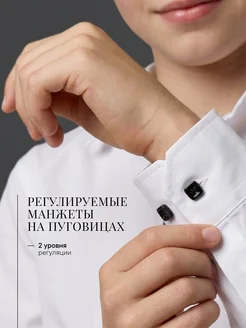 Рубашка школьная на кнопках с длинным рукавом подростковая DEMOCRACY. Цвет белый. Вид 2.