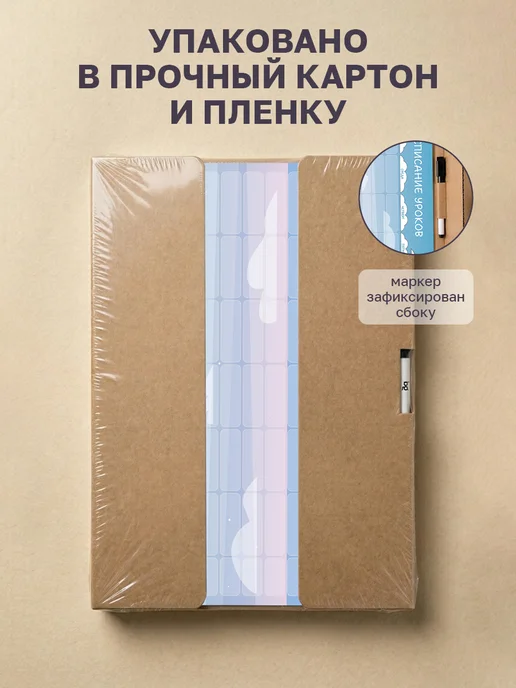 BG Расписание уроков для девочек многоразовое А3, голубой, фото 6