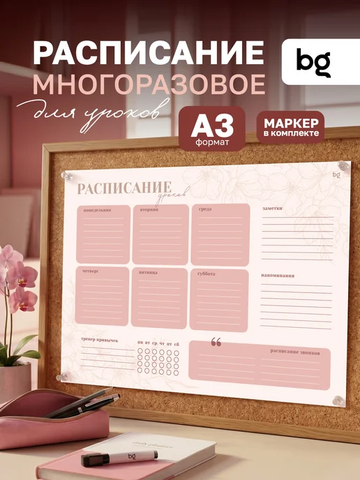 BG Расписание уроков для девочек многоразовое А3, вариант