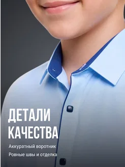 Рубашка школьная на кнопках с длинным рукавом на кнопках Full of Beans. Цвет голубой. Вид 5.