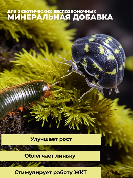 Кальцесмесь для беспозвоночных, 1400 г, 1,4 кг, фото 3