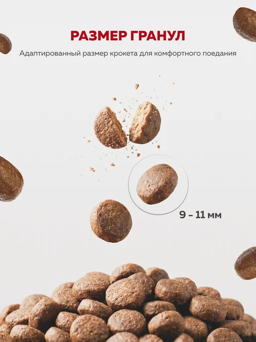 Сухой корм ЗООГУРМАН Рэд для собак, мелкие, лосось, 1,2 кг, фото 3