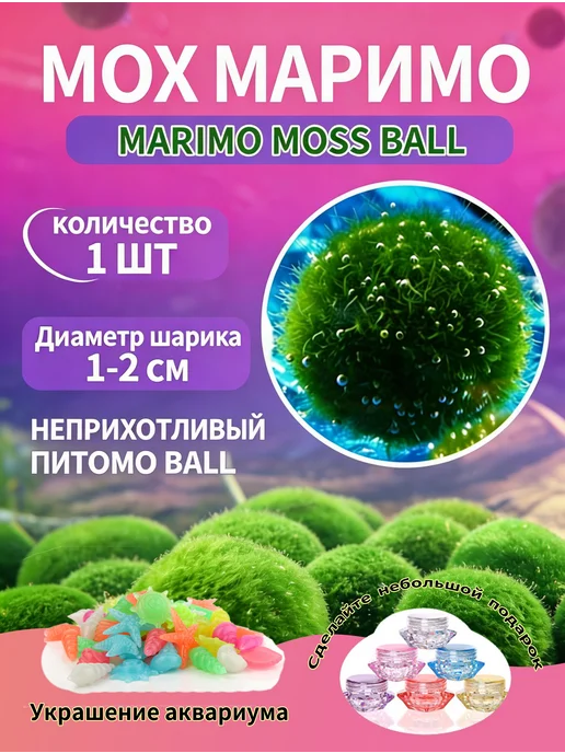 Аквариумный мох, шаровидные водоросли кладофора маримо, вариант