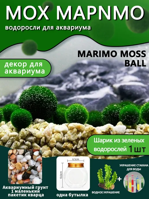 Аквариумный мох, шаровидные водоросли кладофора маримо, вариант