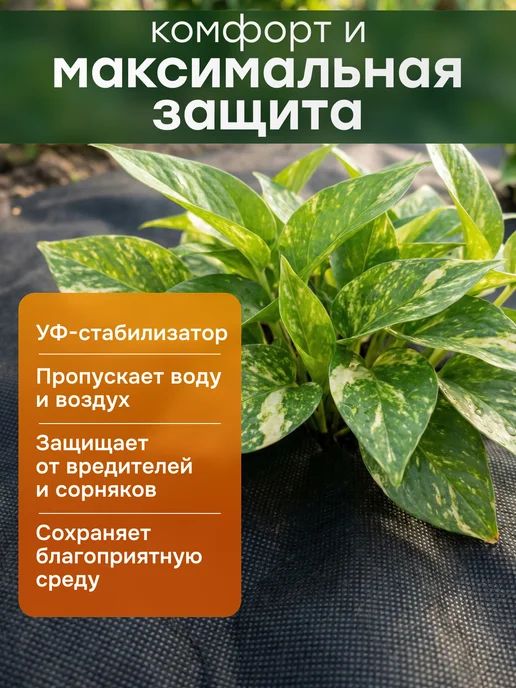 ТК Находка Укрывной материал на зиму спанбонд белый 3,2х10 м, 1.6x10 м, 10 м, черный, фото 3