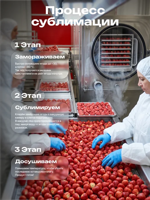 Bruni Набор ягод сублимированная клубника и облепиха - 80 гр, 80 г, фото 6