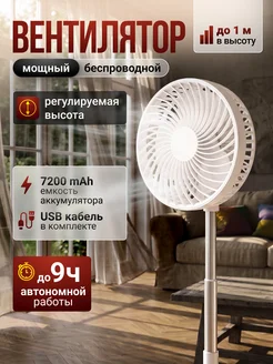 Вентилятор напольный настольный