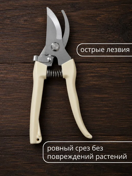 Секатор универсальный садовый для дачи и растений, бежевый, фото 2