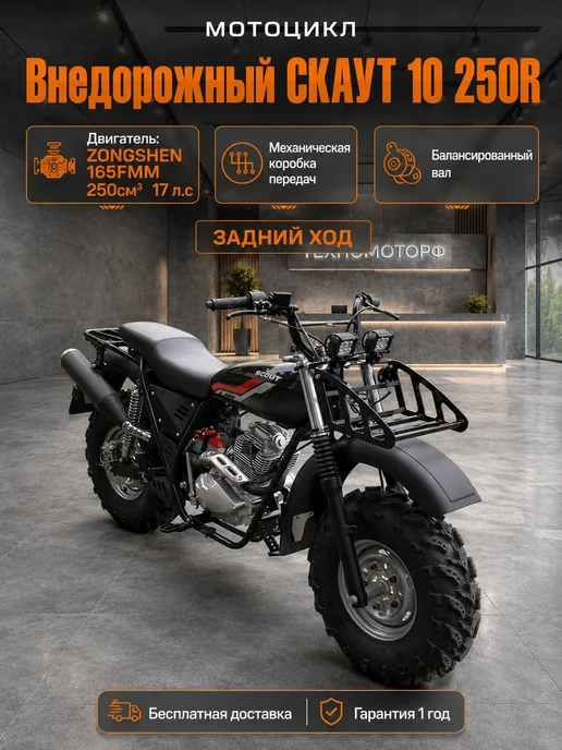 ТЕХНОМОТОРФ Мотоцикл внедорожный СКАУТ-10 250R, черный