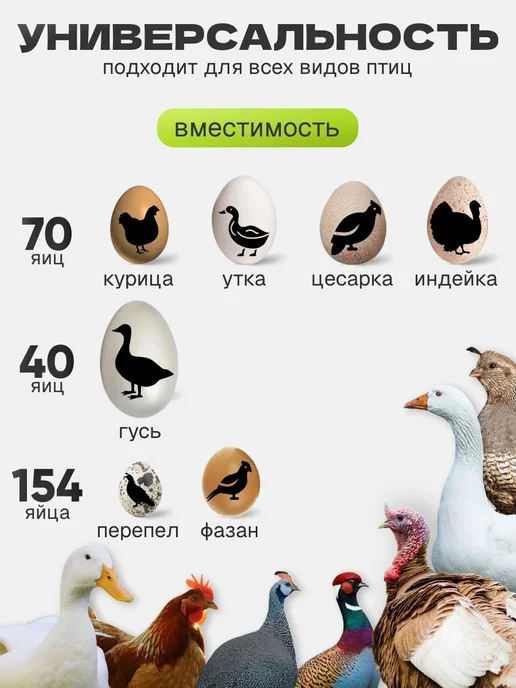 Автоматический инкубатор Золушка 2020 на 70 яиц 220 12В, желтый, фото 4