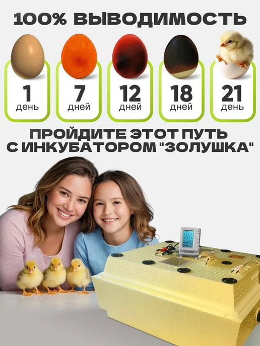 Автоматический инкубатор Золушка 2020 на 70 яиц 220 12В, желтый, фото 5