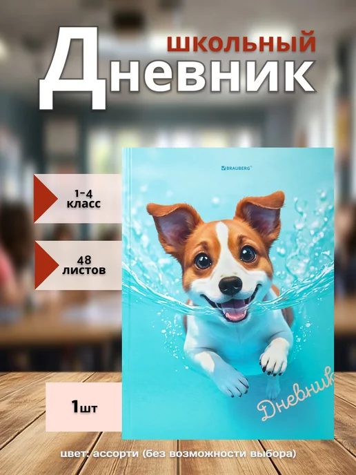 Brauberg Дневник школьный для девочек 1-4 класс с подсказками, белый