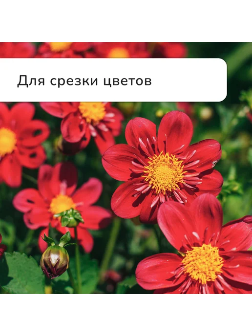 -Мир Игр- Секатор плоскостной 9" (23 см), вариант, фото 7