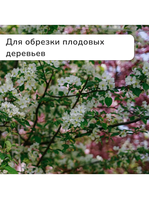 -Мир Игр- Секатор плоскостной 9" (23 см), вариант, фото 8