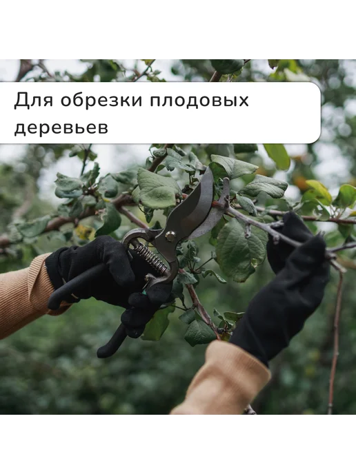 -Мир Игр- Секатор плоскостной 8" (20 см) с металлическими ручками, вариант, фото 8