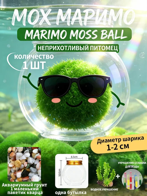 водоросли для аквариума маримо，Племенной набор, вариант