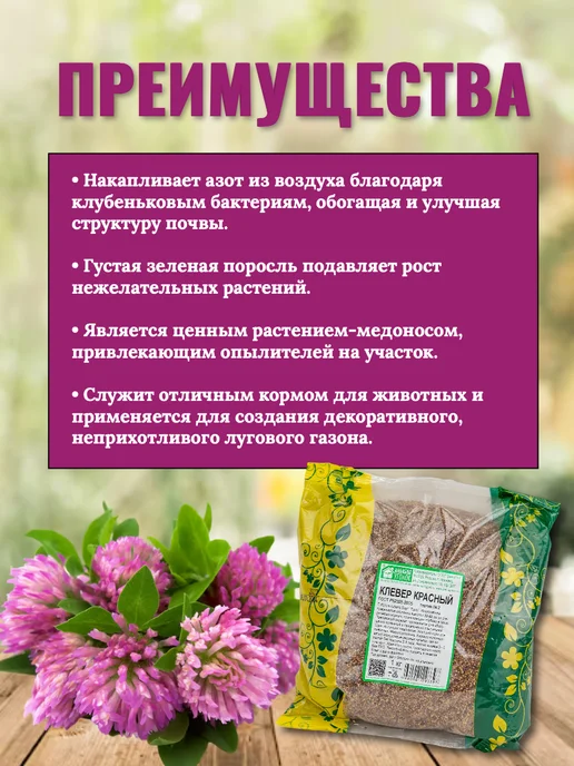 ЗЕЛЕНЫЙ УГОЛОК Семена газон Клевер Красный, 1 кг, 1 кг, фото 2