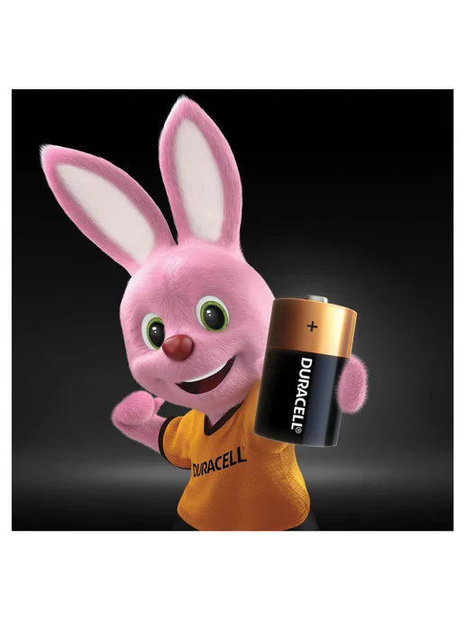 Батарейки DURACELL Basic D 2шт блист, MN 1300, 2 шт, фото 5