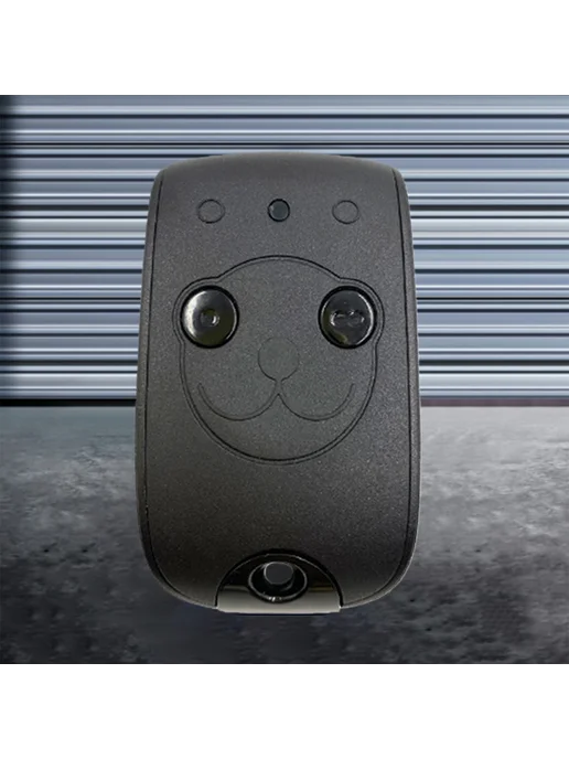 433.42МГц Дистанция для гаража, клонирование, Key Fob для SO, вариант