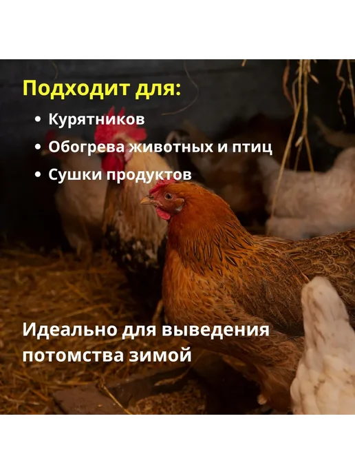 Инфракрасная лампа для обогрева птиц и животных Е27 100Вт, 100 Вт, фото 2