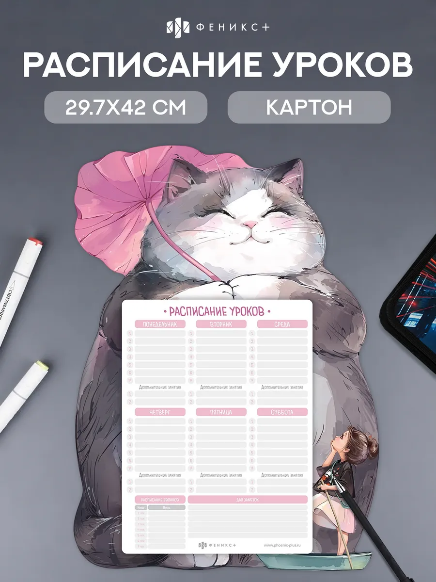 Расписание уроков А3 из картона